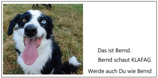 Bernd.jpg